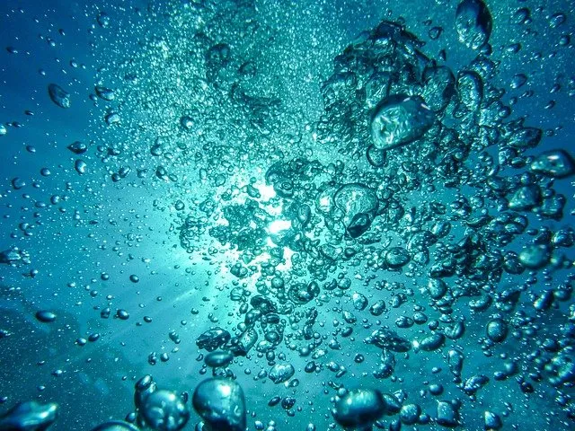 Biofotoni e acqua interstiziale